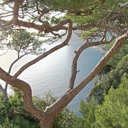 Apartamento Maison Saint Michael Capri