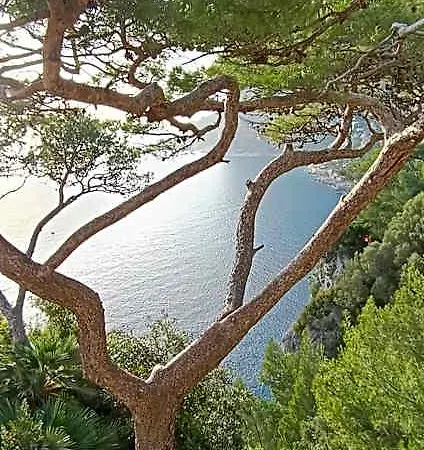Saint Michael Apartment Capri